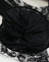 Roberto Festa Ballerinas